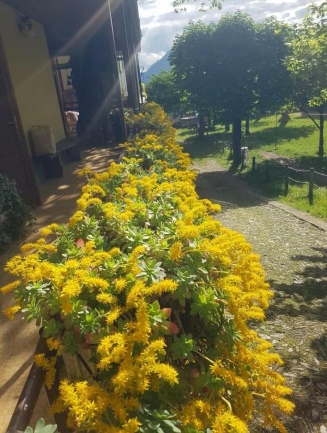 Castagno 1 Sentiero Del Viandante Appartement Bellano Buitenkant foto
